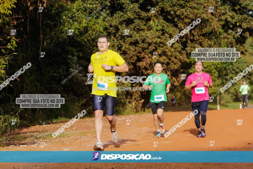 Brasil Corridas - Run 15km - Londrina