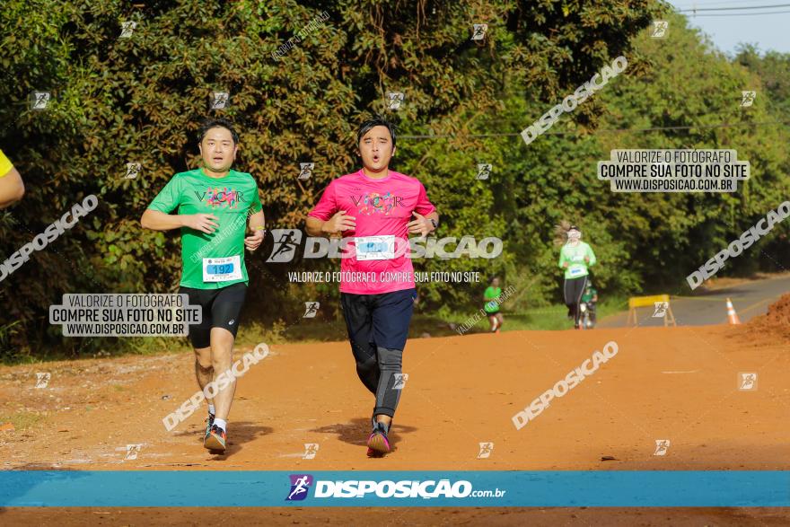 Brasil Corridas - Run 15km - Londrina