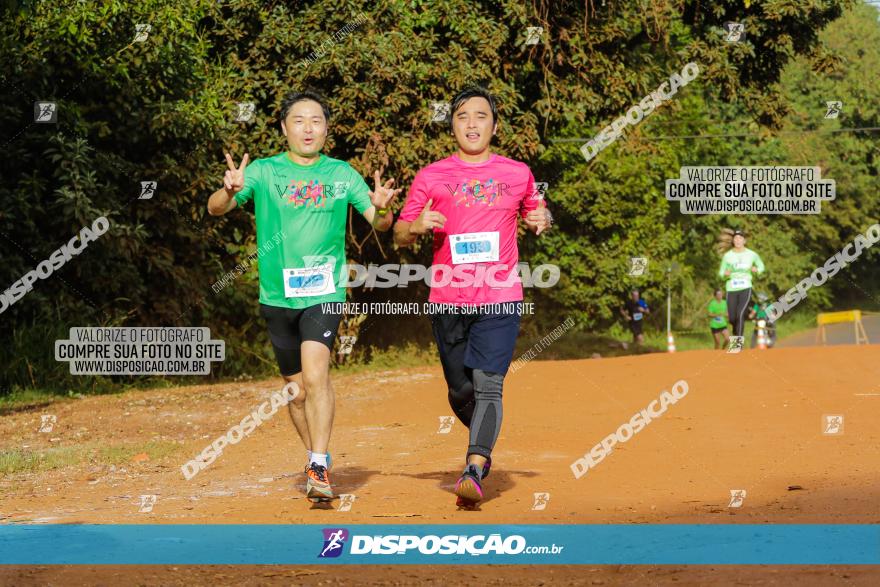 Brasil Corridas - Run 15km - Londrina