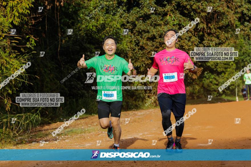 Brasil Corridas - Run 15km - Londrina