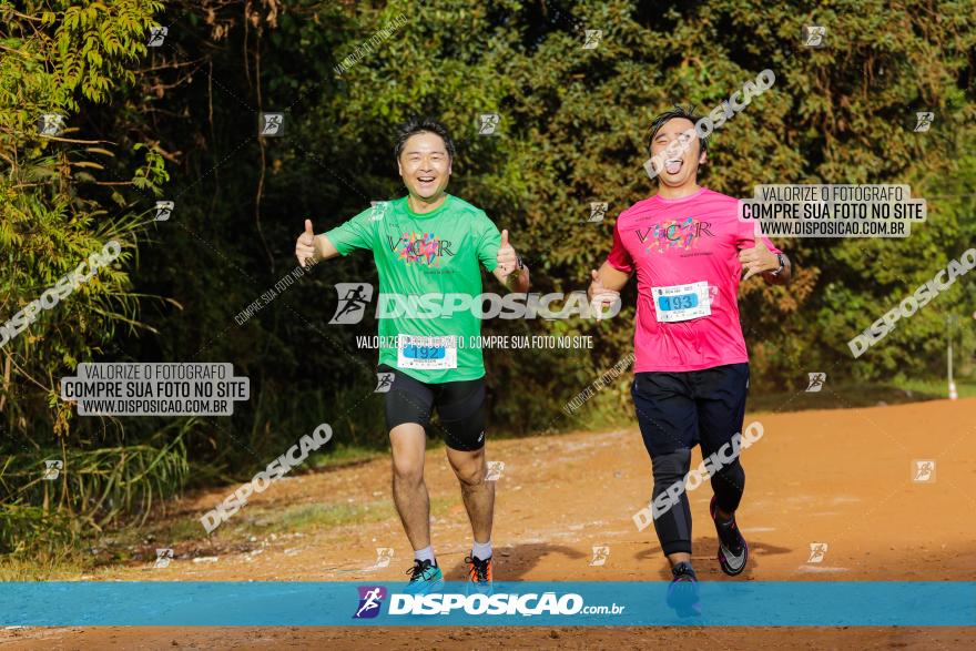 Brasil Corridas - Run 15km - Londrina