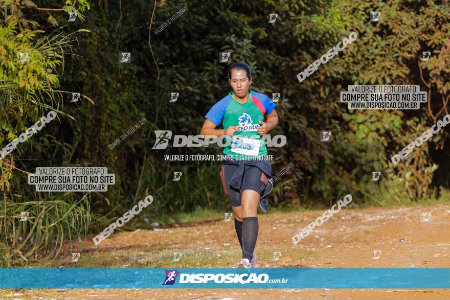 Brasil Corridas - Run 15km - Londrina