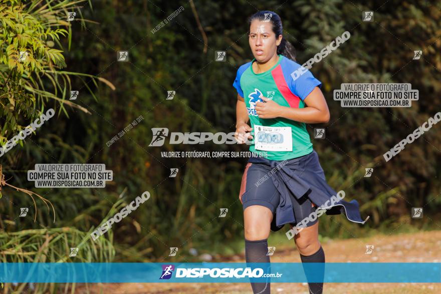 Brasil Corridas - Run 15km - Londrina