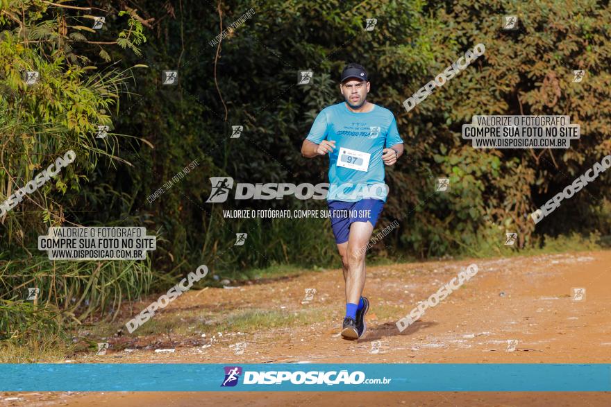 Brasil Corridas - Run 15km - Londrina