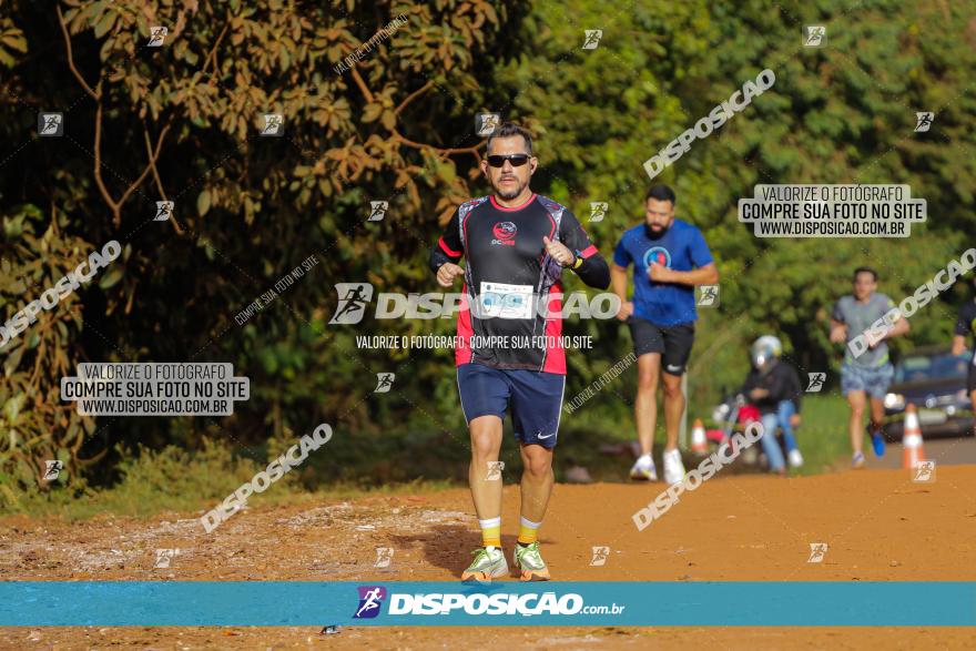 Brasil Corridas - Run 15km - Londrina