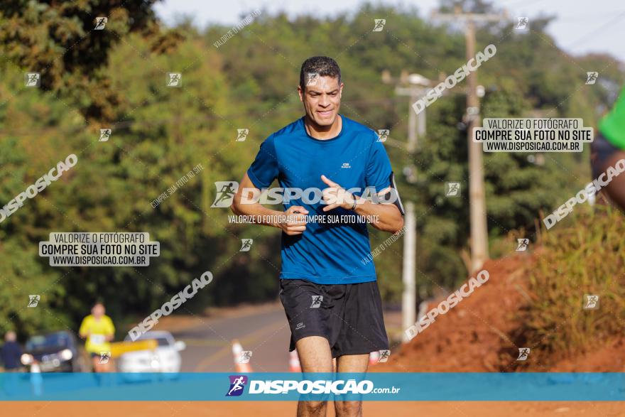 Brasil Corridas - Run 15km - Londrina