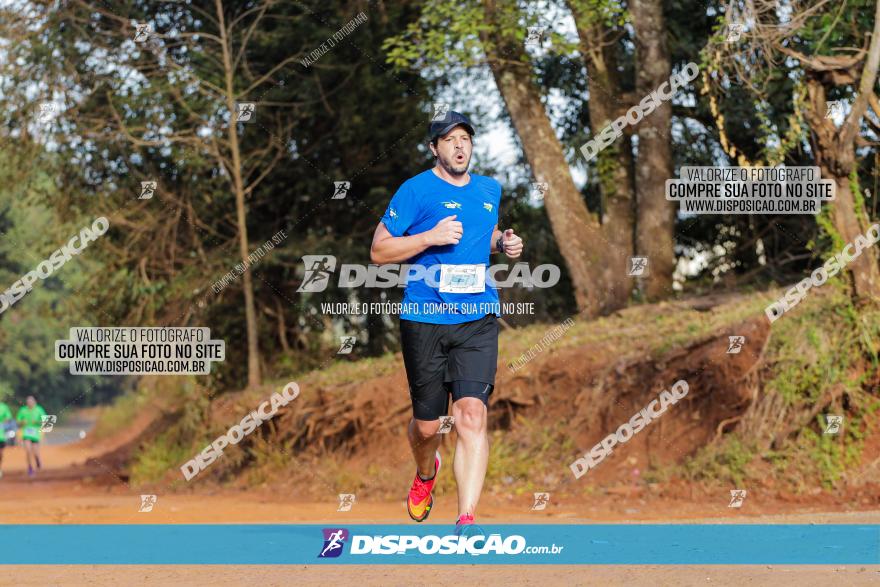 Brasil Corridas - Run 15km - Londrina