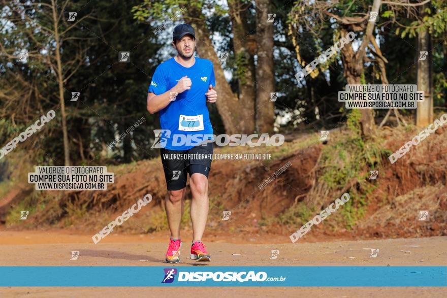 Brasil Corridas - Run 15km - Londrina