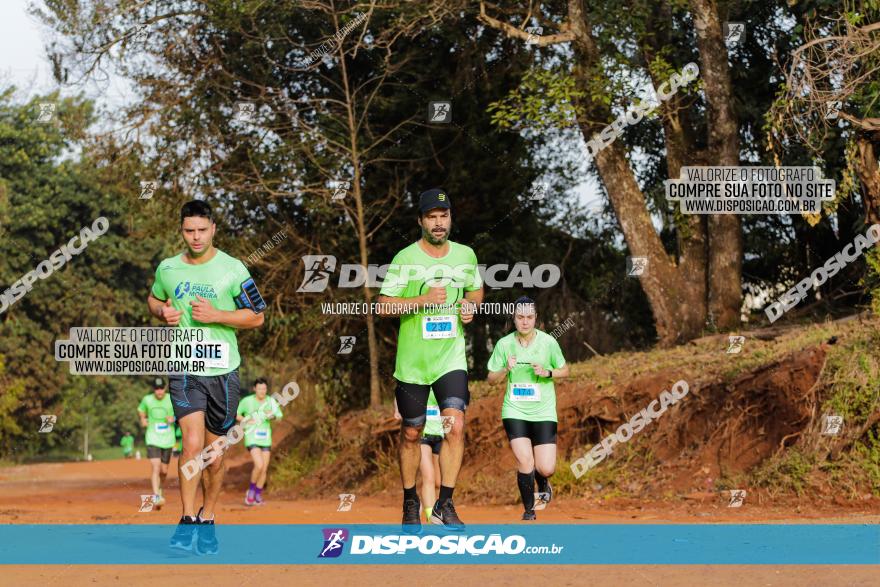 Brasil Corridas - Run 15km - Londrina