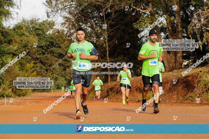 Brasil Corridas - Run 15km - Londrina