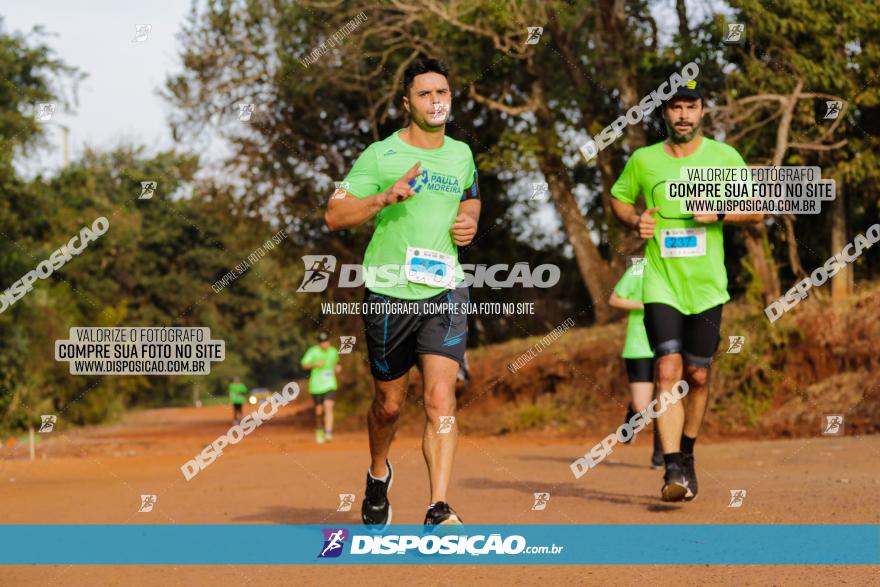 Brasil Corridas - Run 15km - Londrina