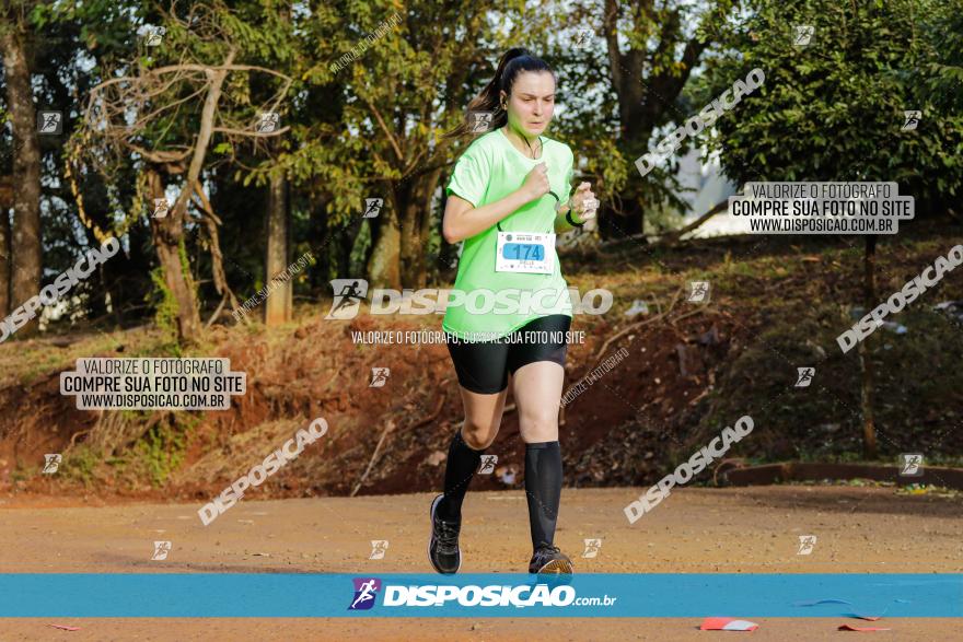 Brasil Corridas - Run 15km - Londrina