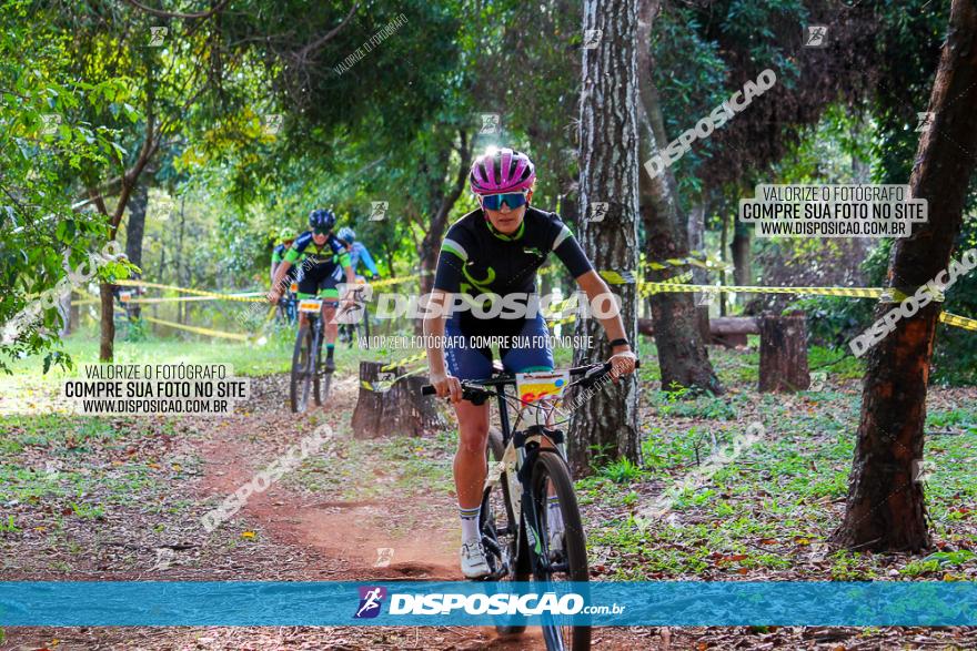 Copa Maringá XCC - 2ª Etapa Bosque Grevíleas