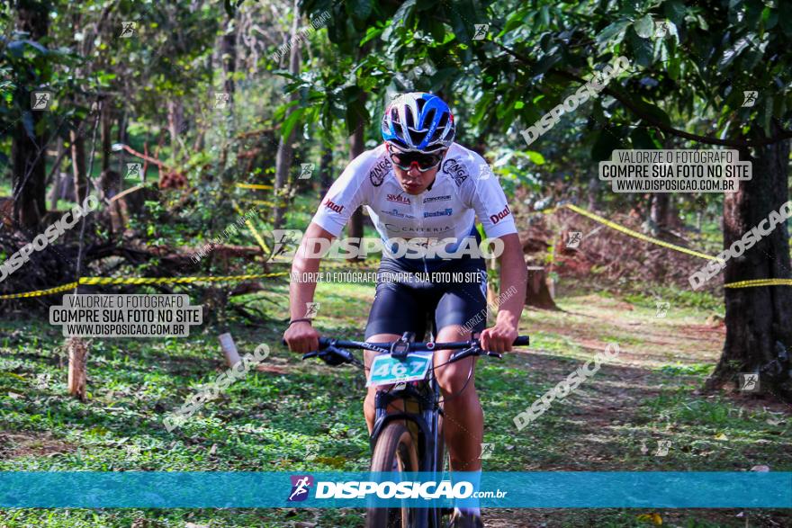 Copa Maringá XCC - 2ª Etapa Bosque Grevíleas