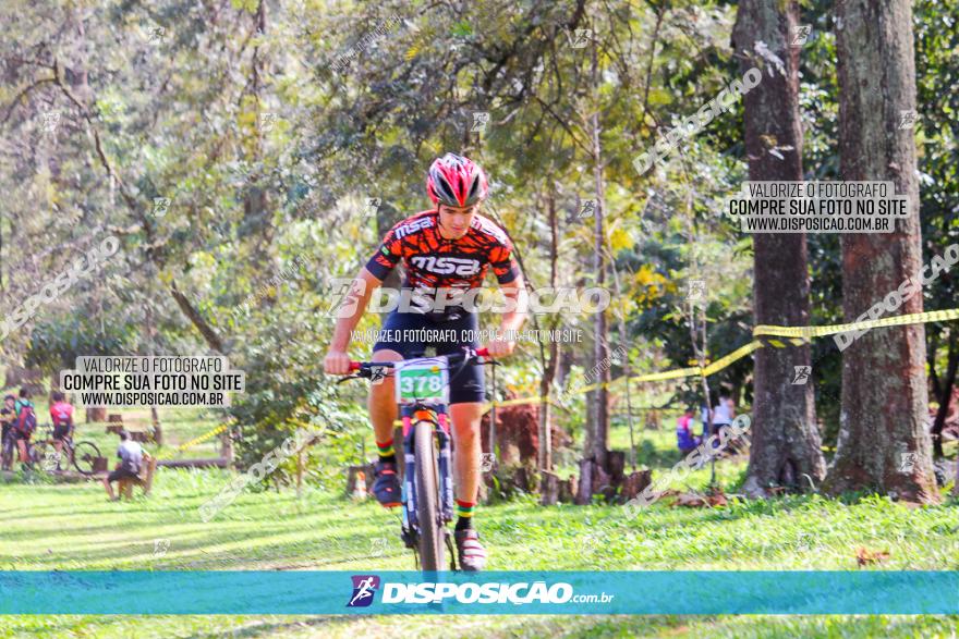 Copa Maringá XCC - 2ª Etapa Bosque Grevíleas