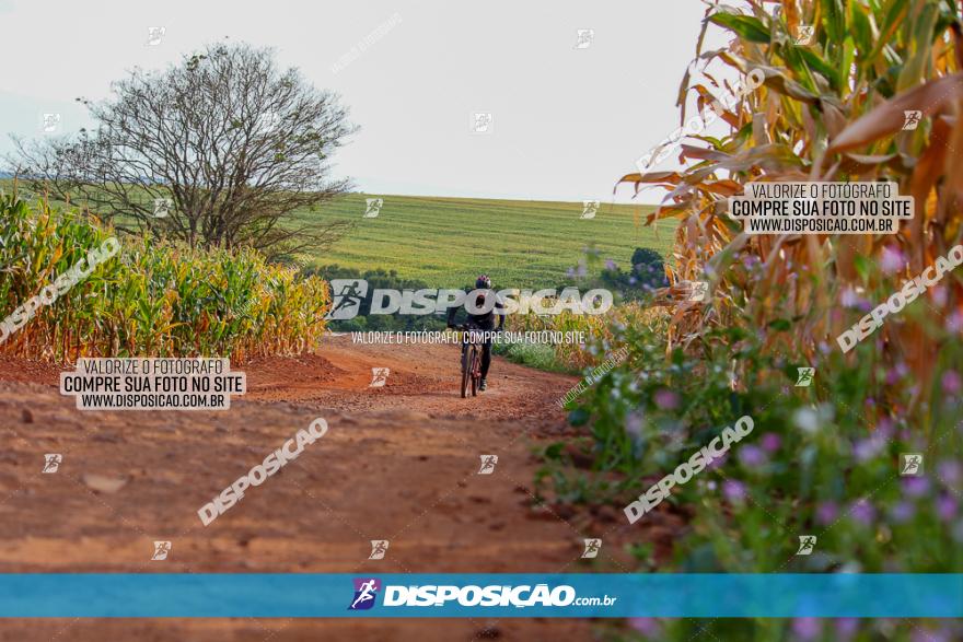 1º Pedala Bela Vista