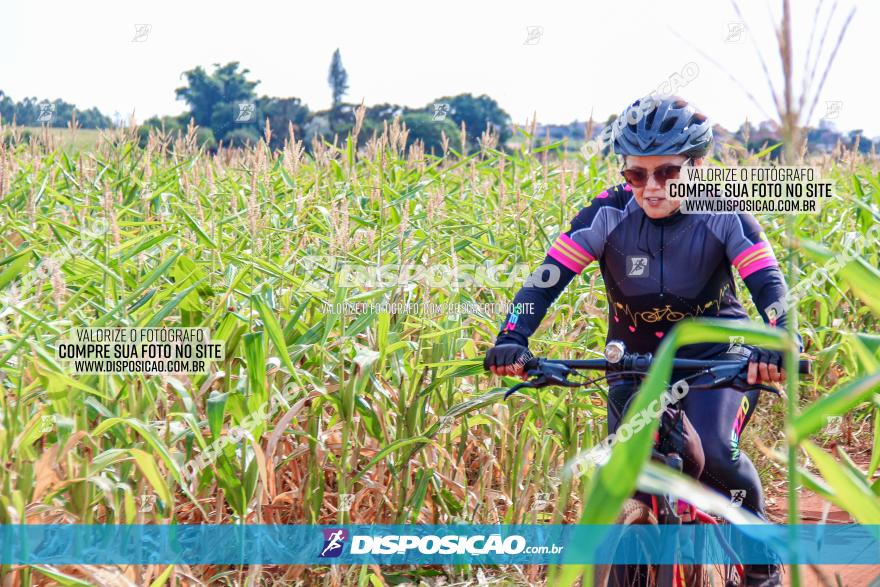 1º Pedala Bela Vista