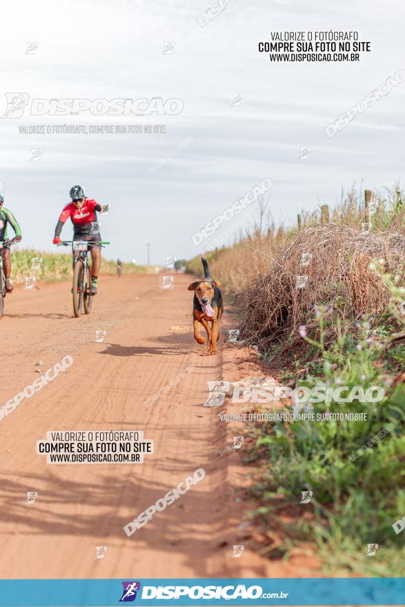 1º Pedala Bela Vista