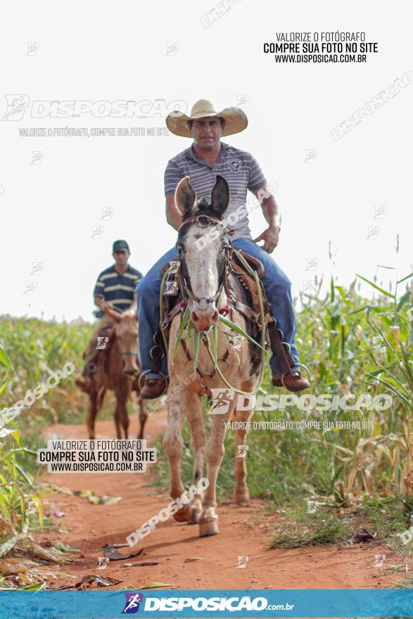 1º Pedala Bela Vista