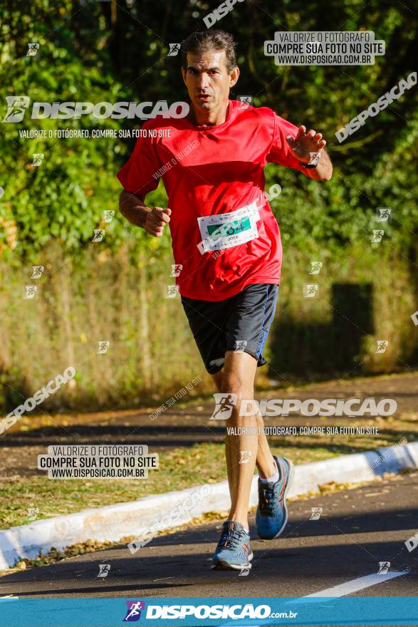 Corrida Mexa-se Pela Vida - Maringá