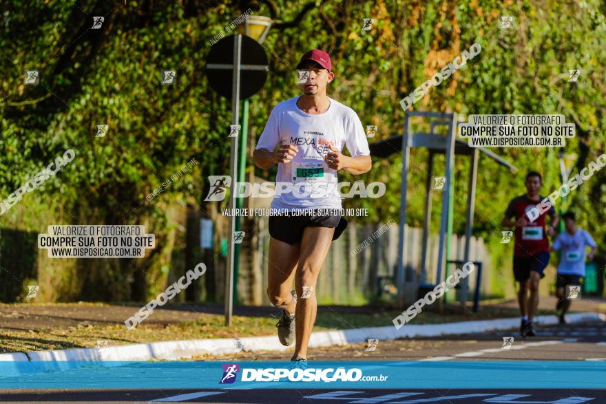 Corrida Mexa-se Pela Vida - Maringá