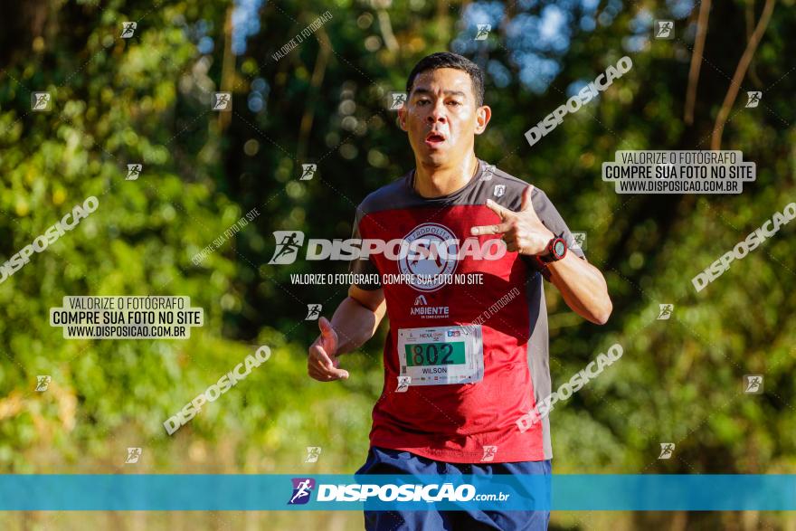 Corrida Mexa-se Pela Vida - Maringá