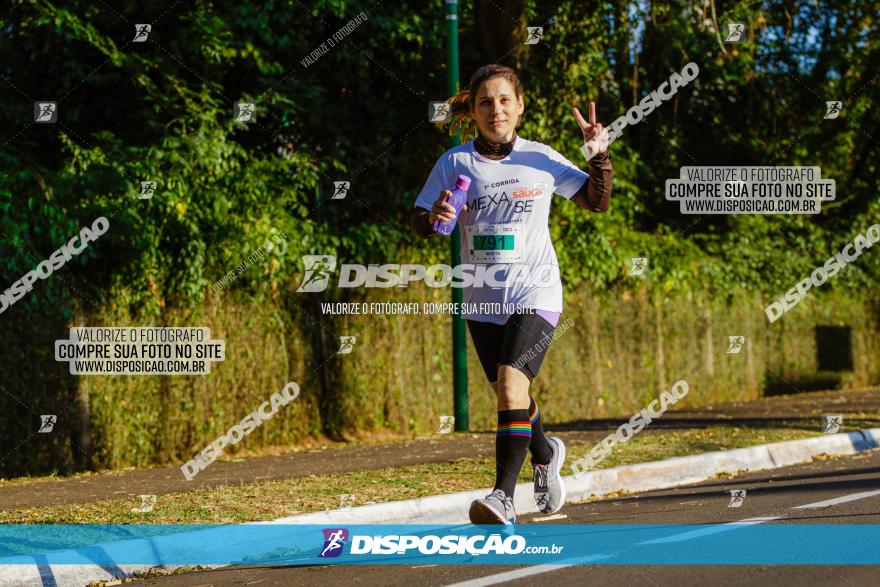 Corrida Mexa-se Pela Vida - Maringá