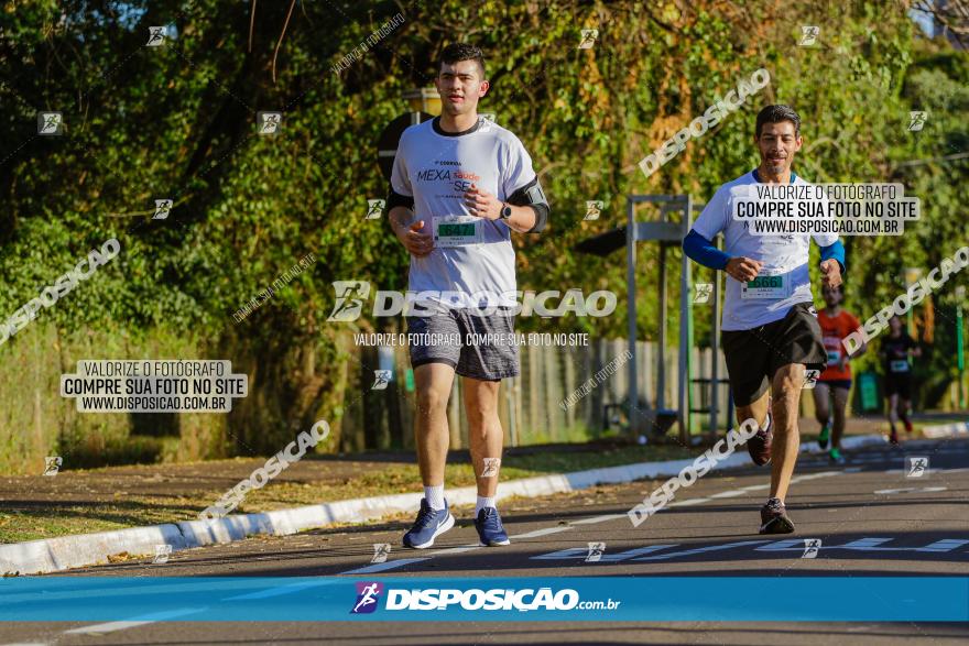 Corrida Mexa-se Pela Vida - Maringá