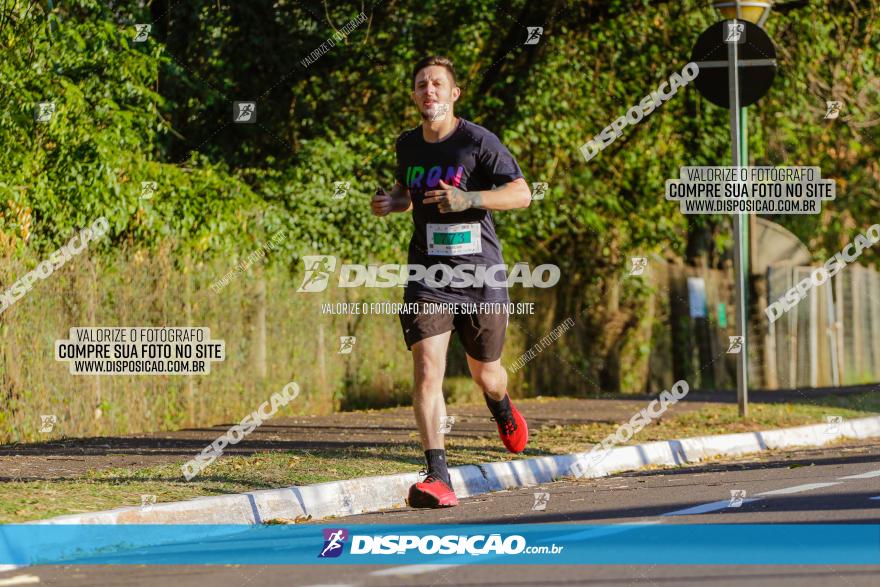 Corrida Mexa-se Pela Vida - Maringá