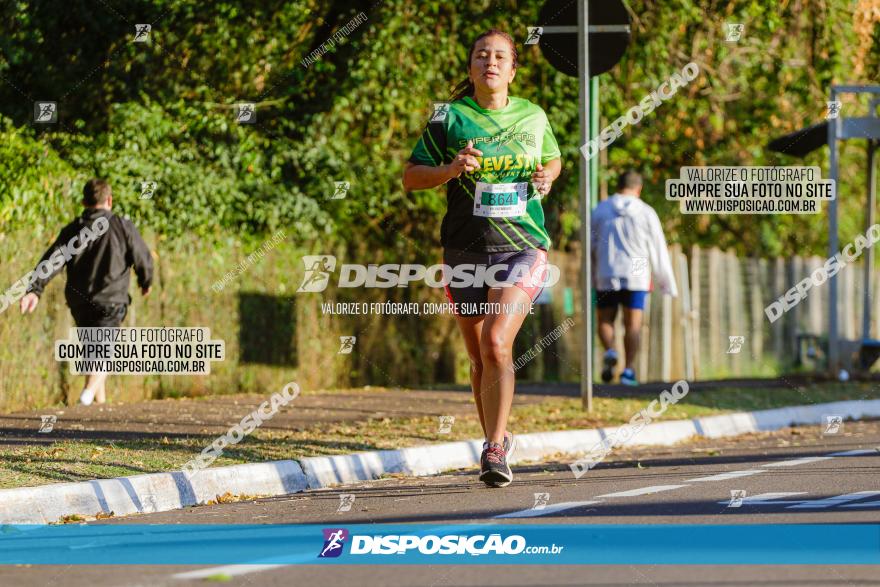 Corrida Mexa-se Pela Vida - Maringá