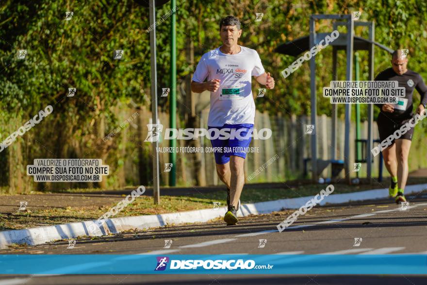 Corrida Mexa-se Pela Vida - Maringá