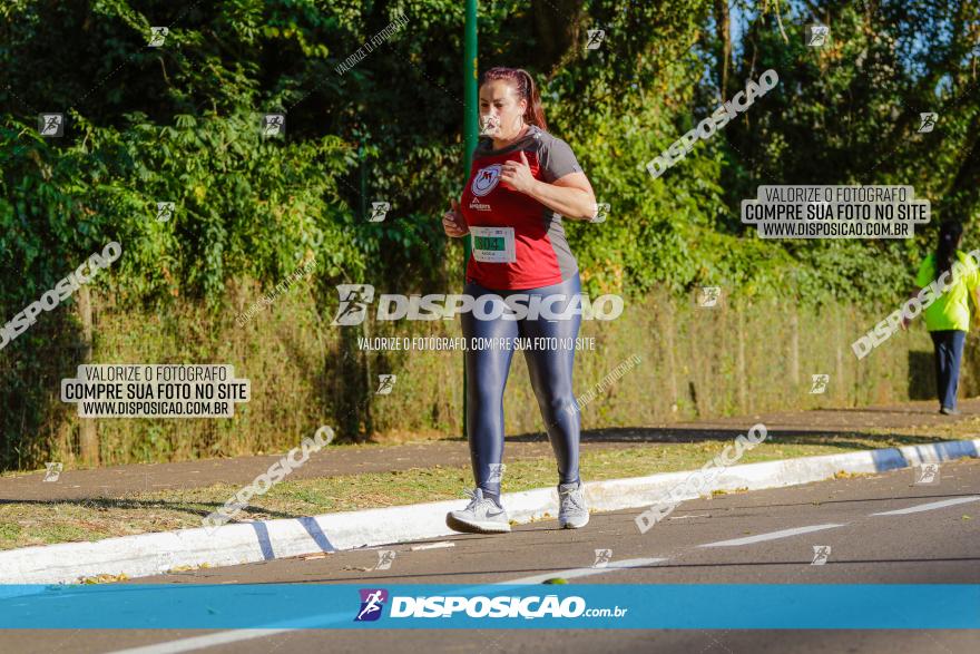 Corrida Mexa-se Pela Vida - Maringá