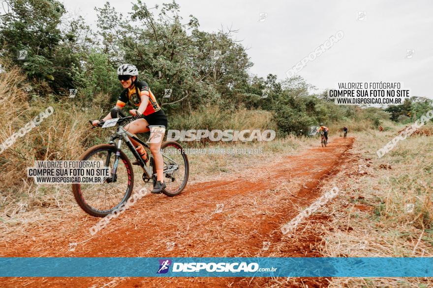 2º Alvobike