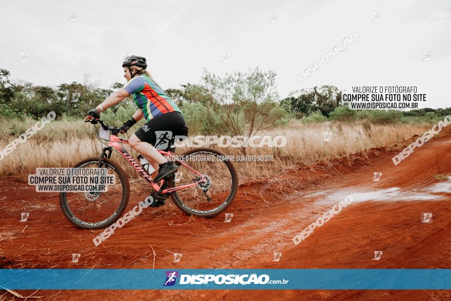 2º Alvobike