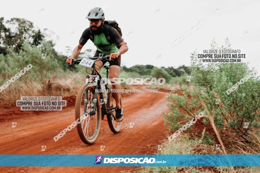 2º Alvobike