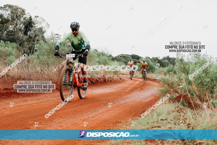 2º Alvobike