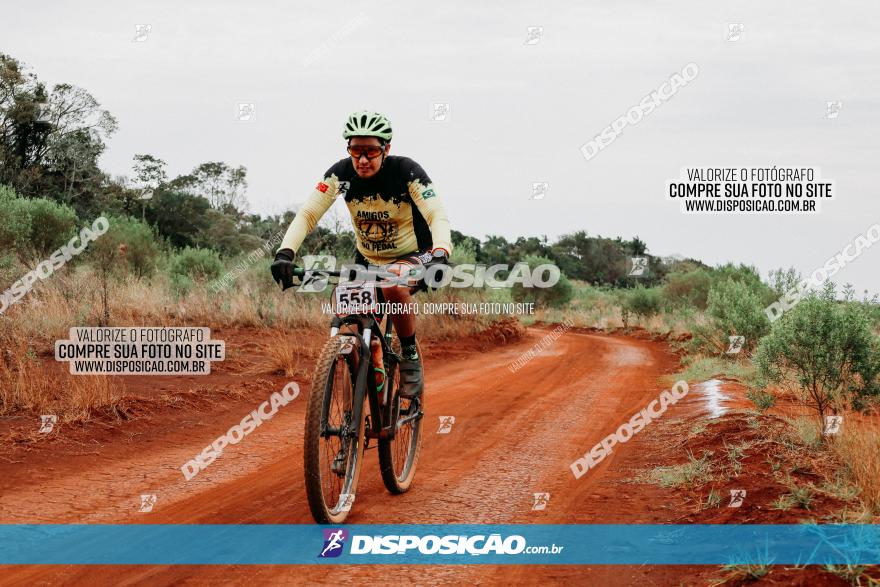 2º Alvobike