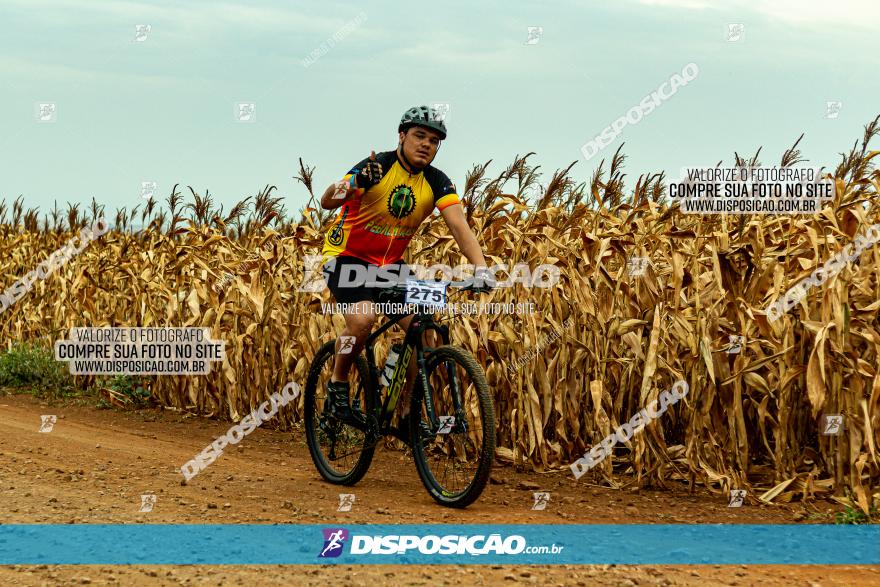 2º Alvobike