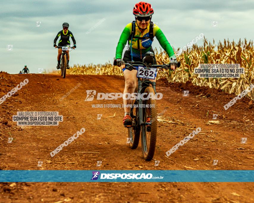 2º Alvobike