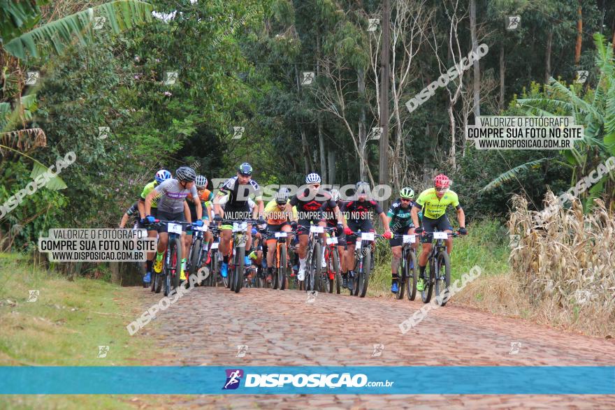 Circuito Regional de MTB - 3ª Etapa - Marialva