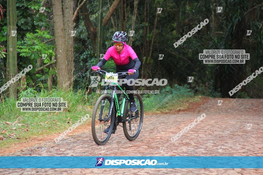 Circuito Regional de MTB - 3ª Etapa - Marialva