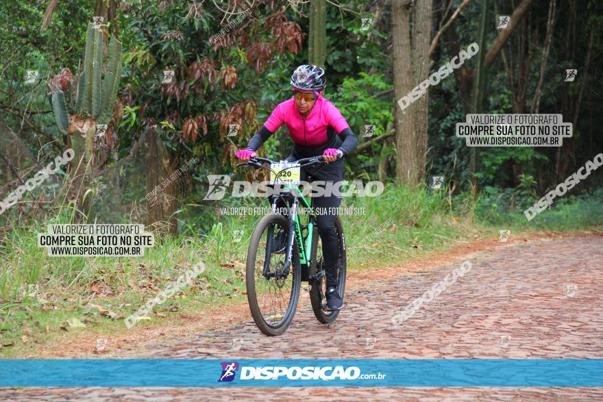 Circuito Regional de MTB - 3ª Etapa - Marialva