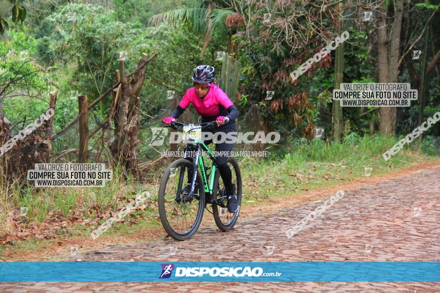 Circuito Regional de MTB - 3ª Etapa - Marialva