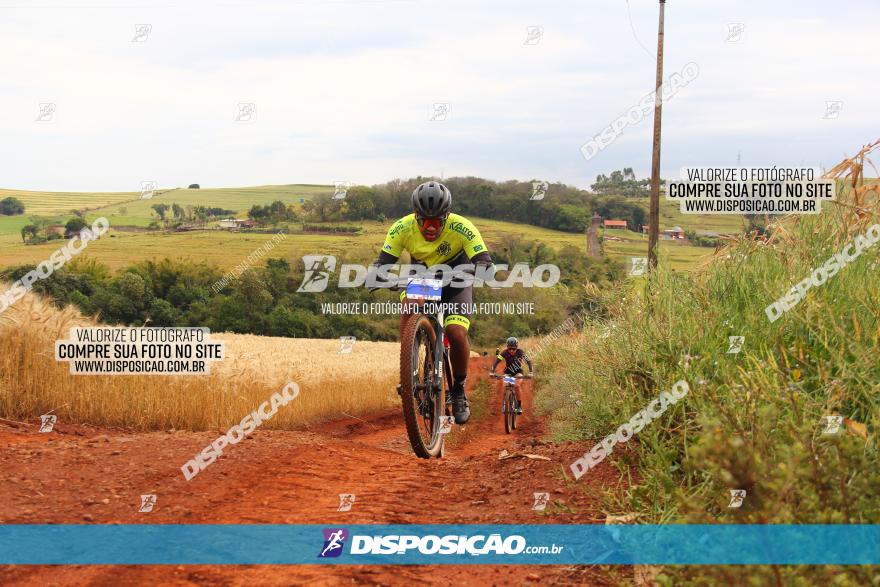 Circuito Regional de MTB - 3ª Etapa - Marialva