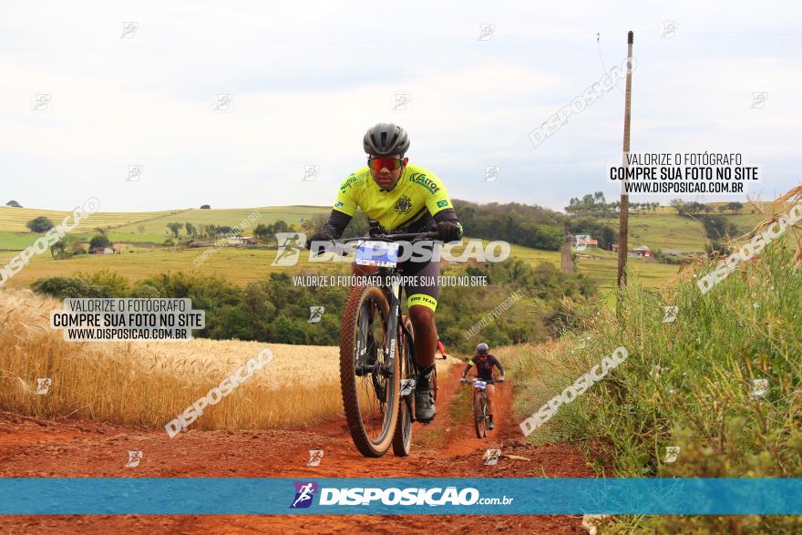 Circuito Regional de MTB - 3ª Etapa - Marialva