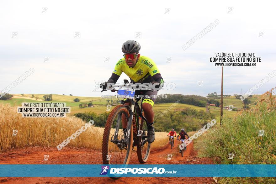 Circuito Regional de MTB - 3ª Etapa - Marialva