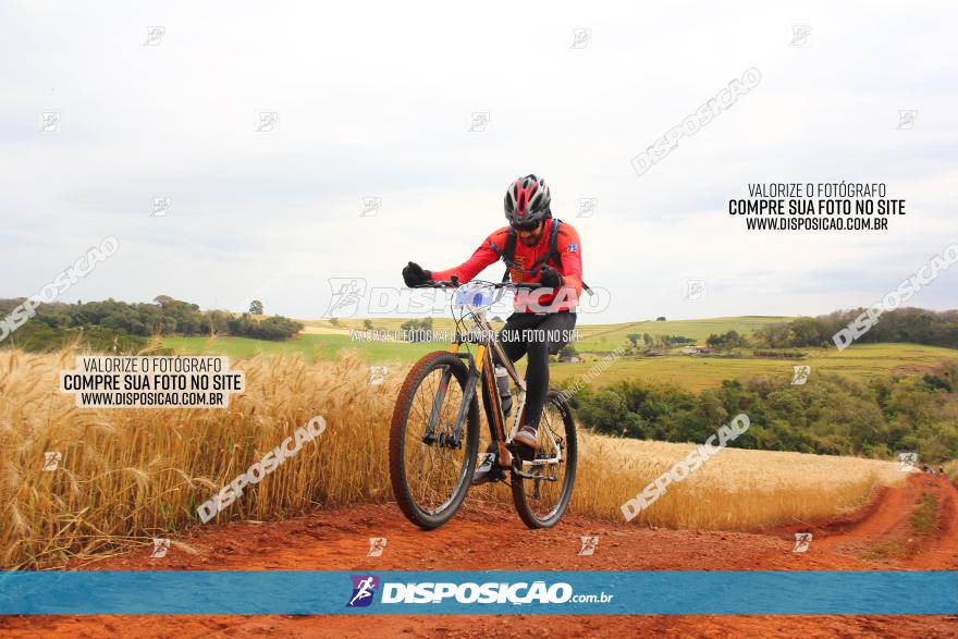 Circuito Regional de MTB - 3ª Etapa - Marialva