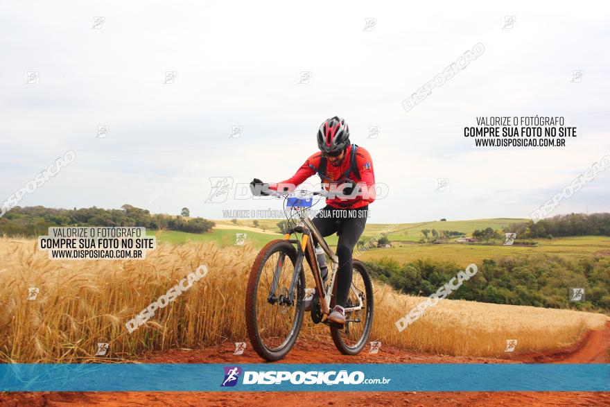 Circuito Regional de MTB - 3ª Etapa - Marialva