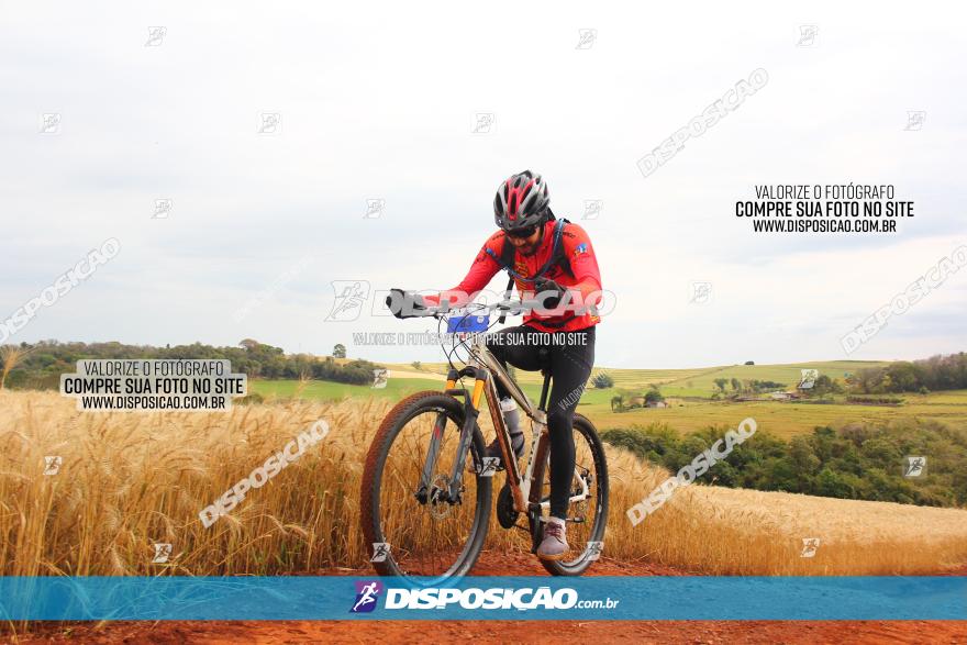 Circuito Regional de MTB - 3ª Etapa - Marialva