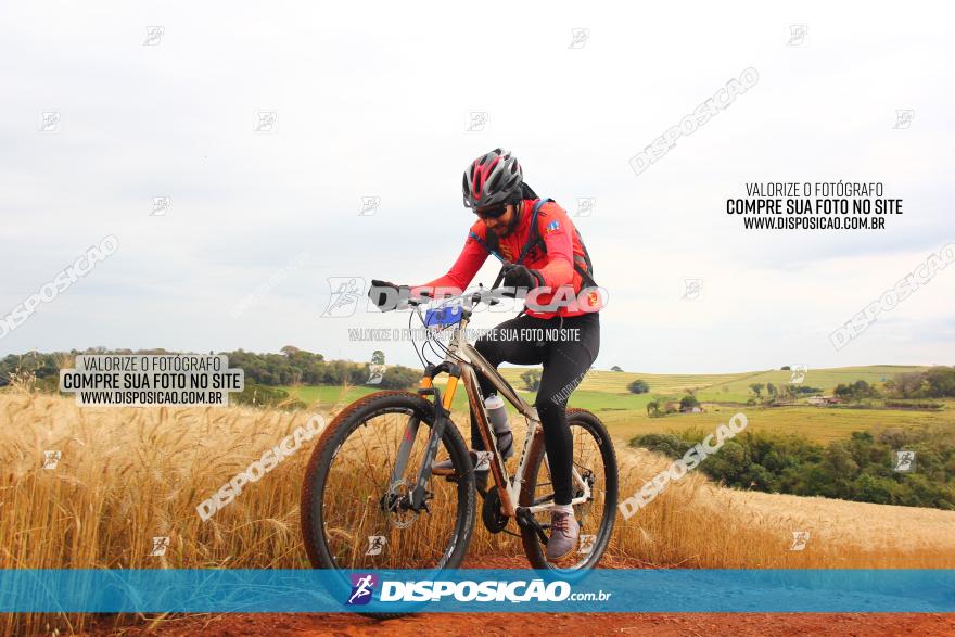 Circuito Regional de MTB - 3ª Etapa - Marialva